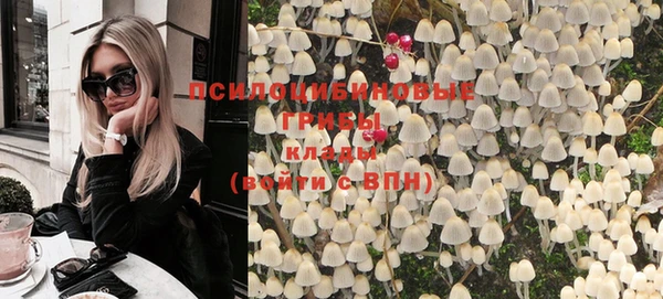 гидропоника Семилуки