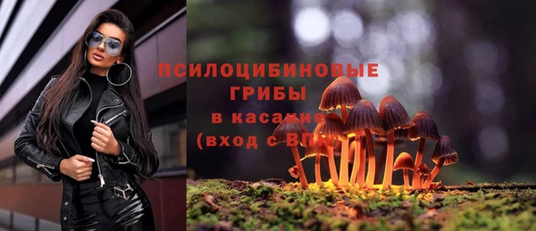 молекула духа Володарск