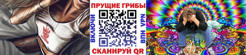 маркетплейс клад  Гатчина  Псилоцибиновые грибы Psilocybe  цена наркотик 