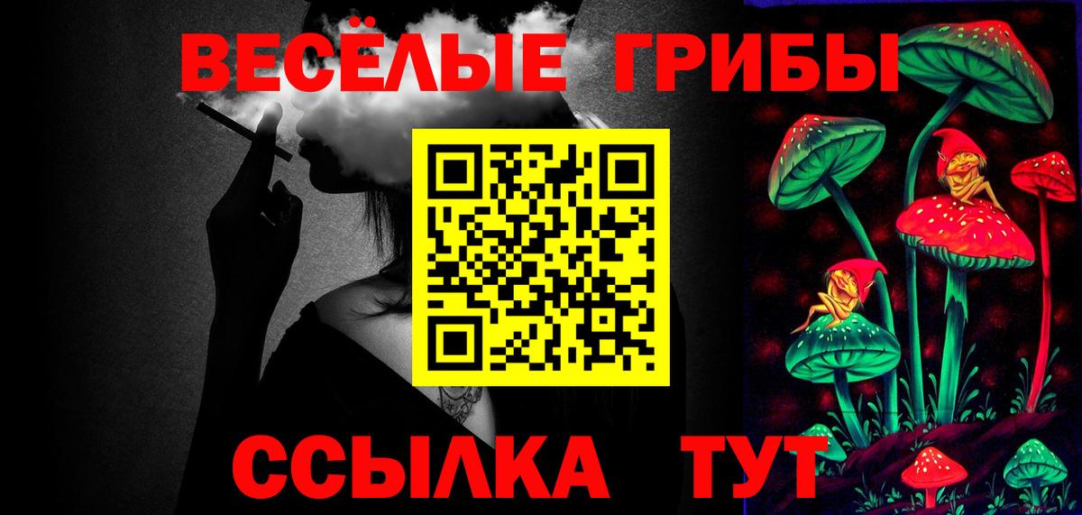 Гатчина  Псилоцибиновые грибы мухоморы  Вход с VPN 