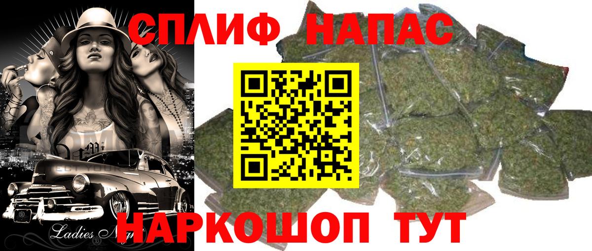 Бошки марихуана ГИДРОПОН  Вход с VPN  Шишки марихуана план  Гатчина 